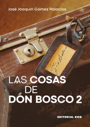Las cosas de don Bosco 2