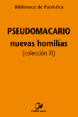 Nuevas Homilías (colección III)