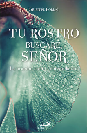 Tu rostro buscaré, Señor: La oración como contemplación...