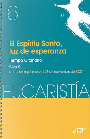 El Espíritu Santo, luz de la esperanza-Tiempo Ordinario -ciclo C -