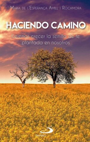 Haciendo camino