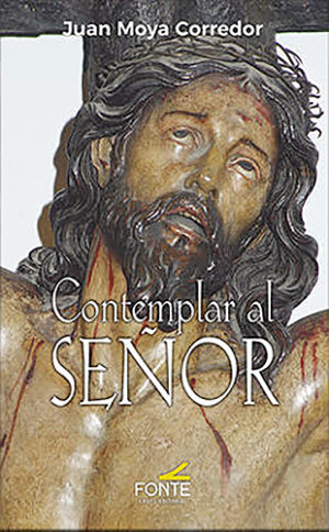 Contemplar al Señor